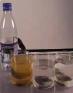 EAW pH Redox Kombimessgerät 2