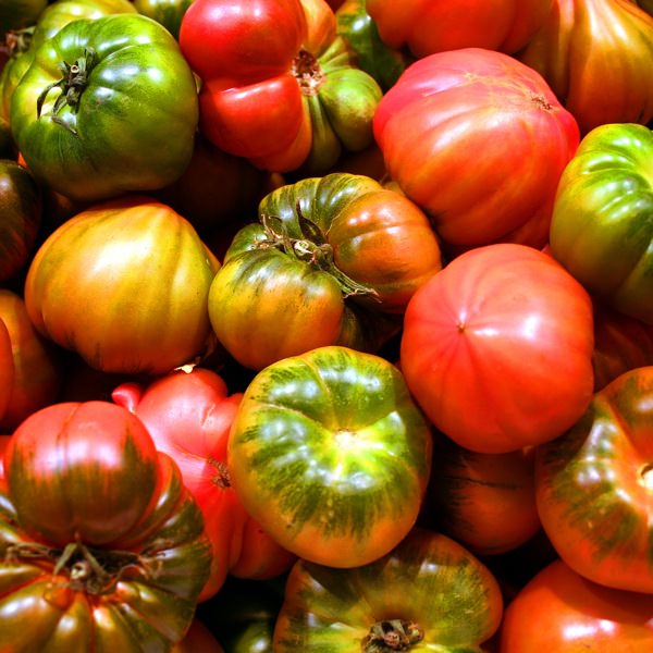 Basische gruene Ernaehrung - Tomaten - verstoffwechselt aber so wie alles auch sauer 2-600