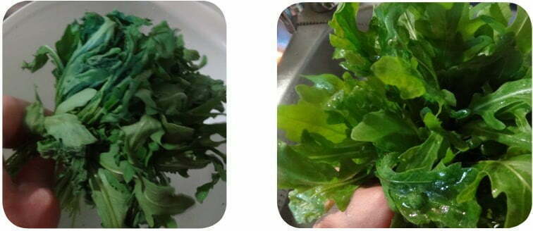 Rucola vor und nach ionisiertem Wasser