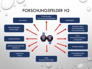 22-Forschungsfelder H2