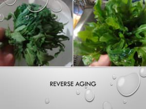 45-Reverse aging