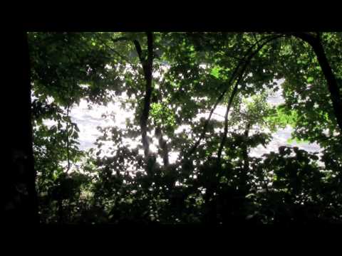 Lied des Wasserwesens: Interview & Gesang